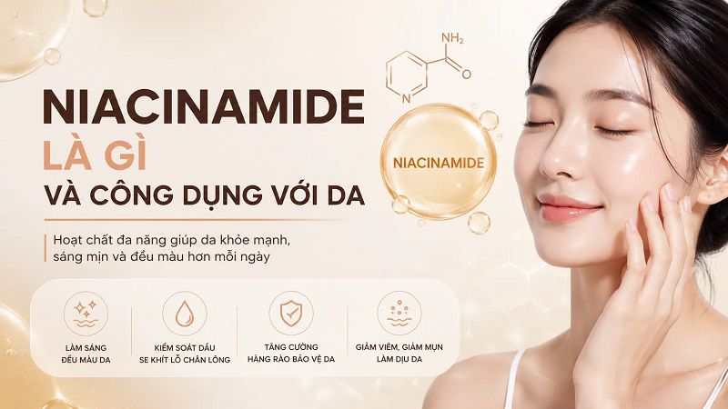 Niacinamide là gì và cơ chế hoạt động trên da